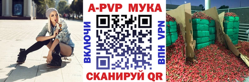 ОМГ ОМГ   Кингисепп  APVP VHQ 