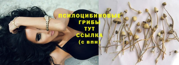 гидропоника Михайлов