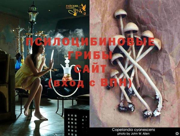 гашик Мегион