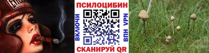 Галлюциногенные грибы мухоморы Кингисепп