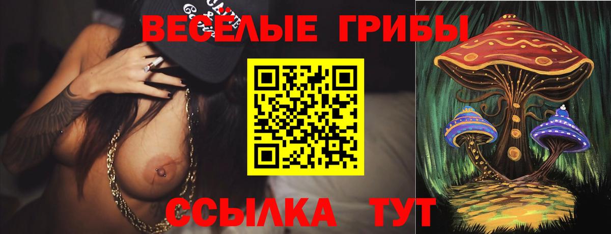 Галлюциногенные грибы GOLDEN TEACHER  Галлюциногенные грибы мухоморы  Вход с VPN  Кингисепп 