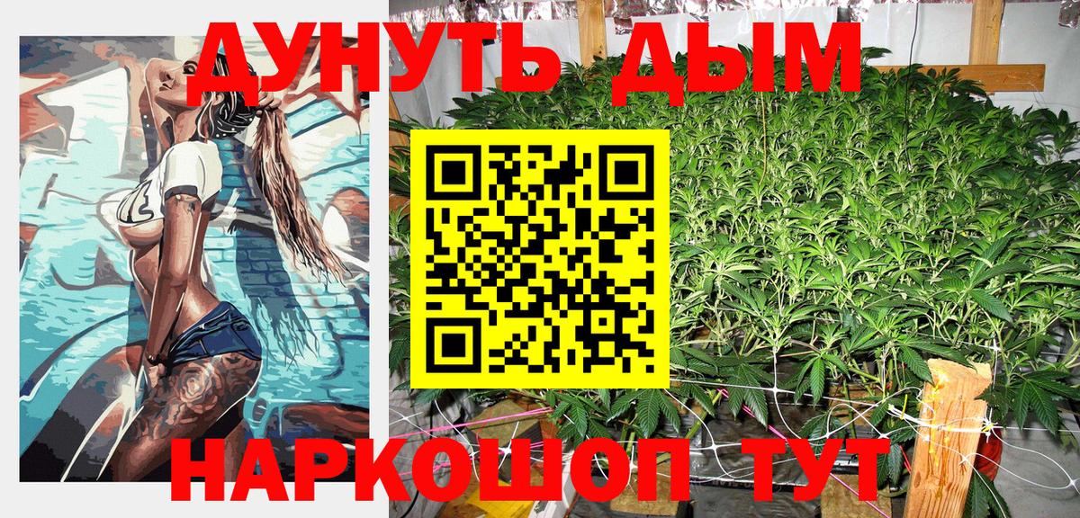 Канабис OG Kush Кингисепп
